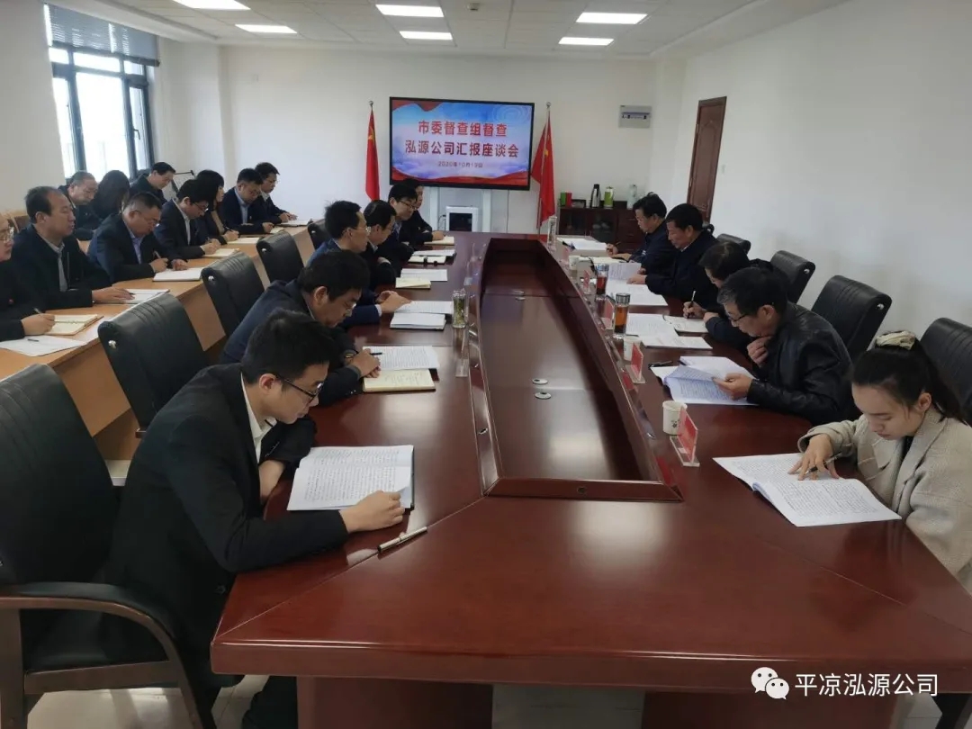 市委辦公室、市政府國(guó)資委督查泓源公司工作(圖4)